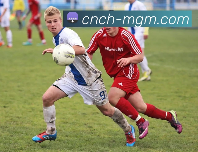 多媒体互动体验